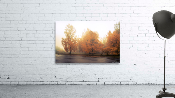 Habo Wall Preview