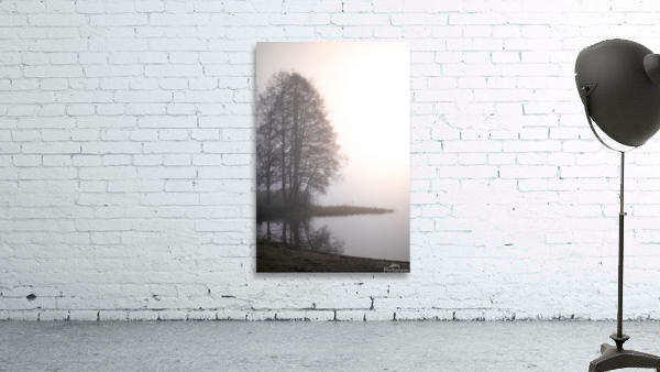 Dimman igen Wall Preview