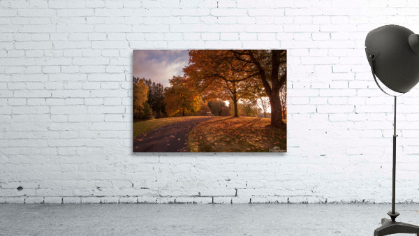 Bench Wall Preview