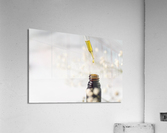 delta 8 Acrylic Print