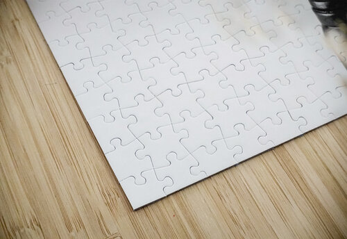 delta 8 Rafaella puzzle