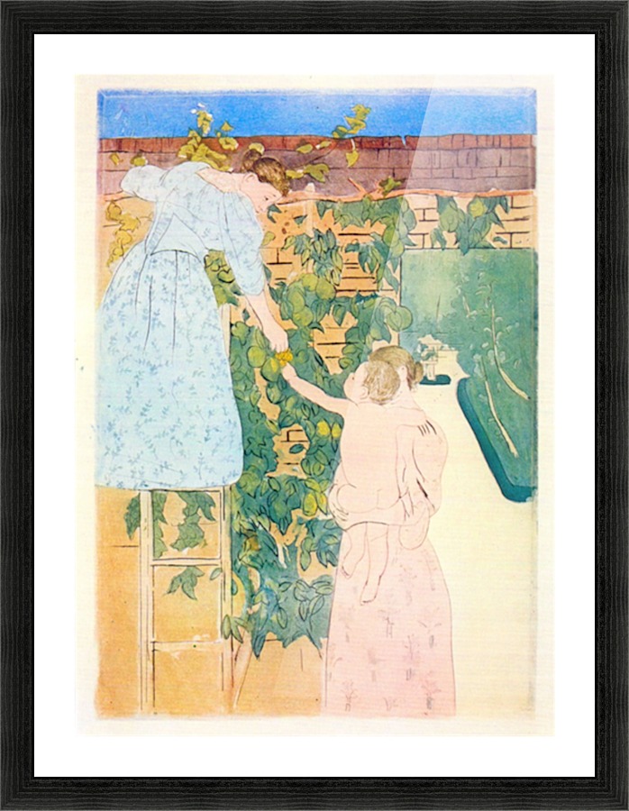 Picking Fruit Picture Frame print