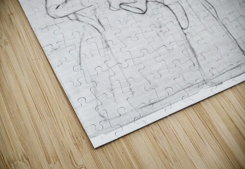 In the bus Cassatt puzzle