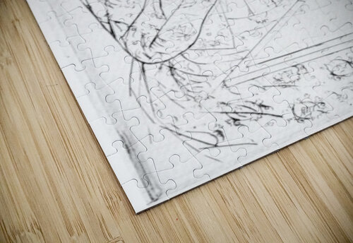 The Letter 2 Cassatt puzzle