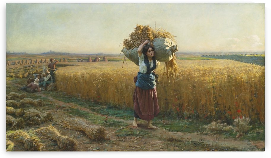 The harvest by Cesar Pattein