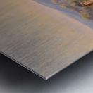 A good rest Metal print