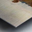 A little bump Metal print