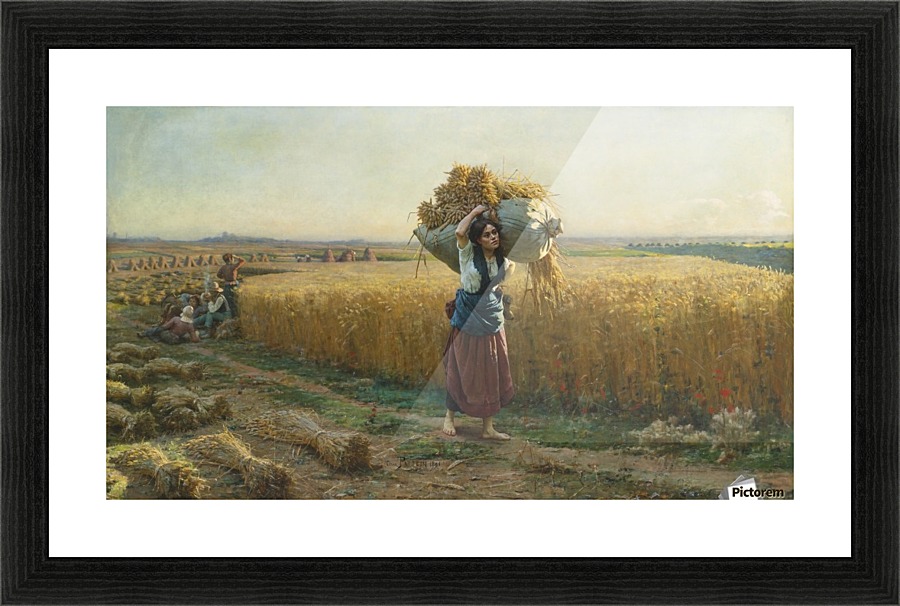 The harvest Picture Frame print