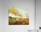 Hampstead Heath Acrylic Print
