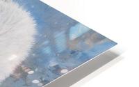 Artic Awareness HD Metal print