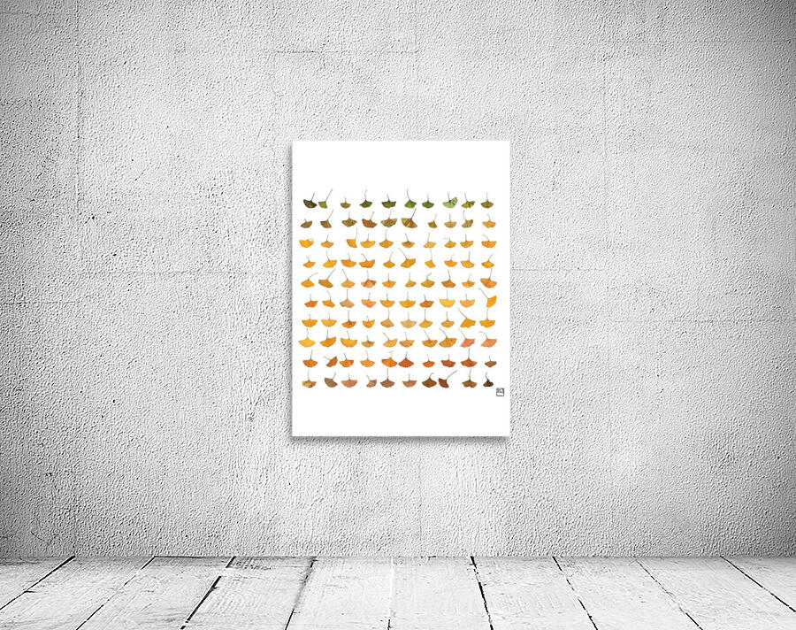 Seedless - Ajumma Wall Preview