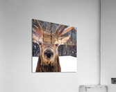 received 510952492863793 Acrylic Print