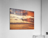 PC062807 Acrylic Print