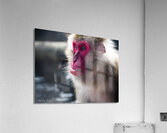 received 844304009335290 Acrylic Print