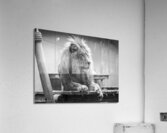 received 567707190739119 Acrylic Print