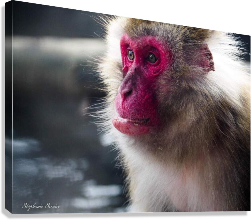 received 844304009335290 Canvas Print