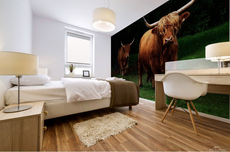 buffle test 1 Mural print