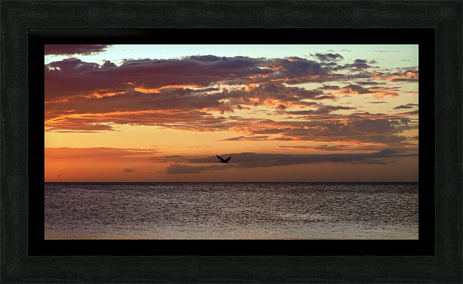 PC062804 Picture Frame print
