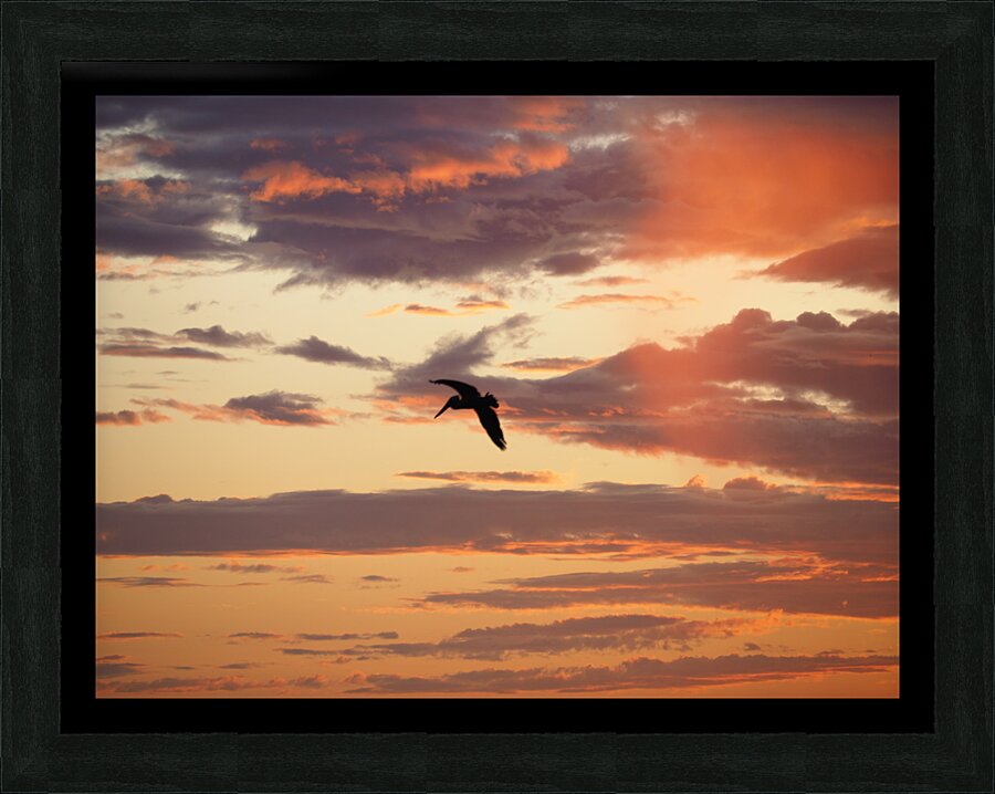 PC062807 Picture Frame print