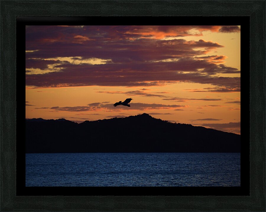 PC062808 Picture Frame print