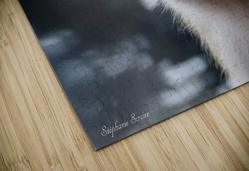 received 844304009335290 Stephanie Scraire puzzle