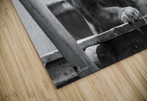 received 567707190739119 Stephanie Scraire puzzle