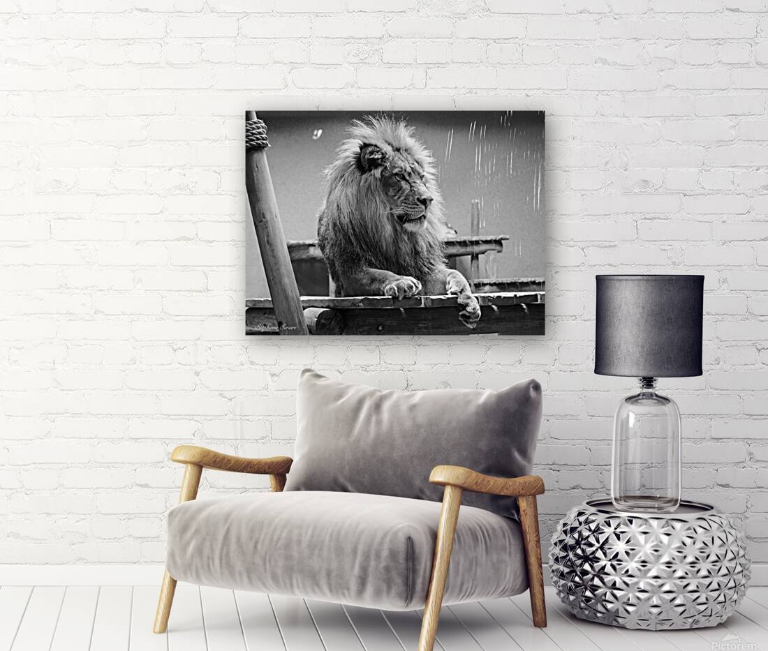 received 567707190739119 Reproduction