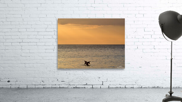 PC062746 Wall Preview