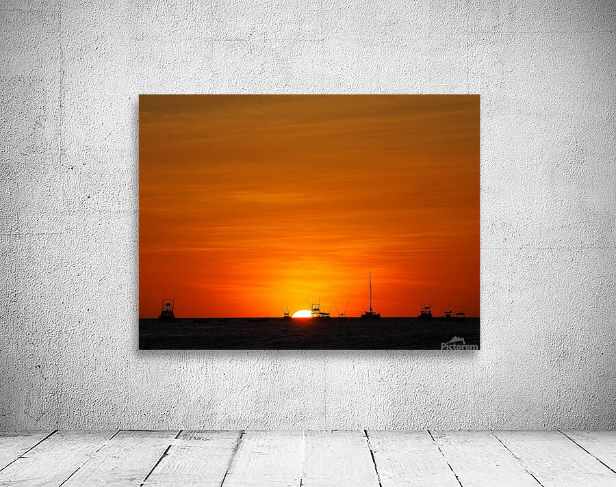 PC183594 Wall Preview