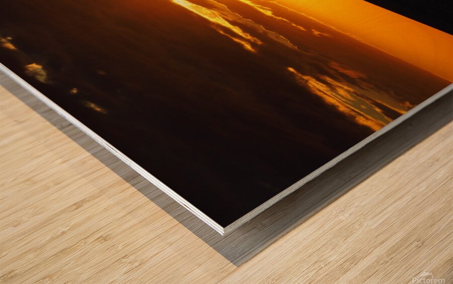 PC062779 Wood print