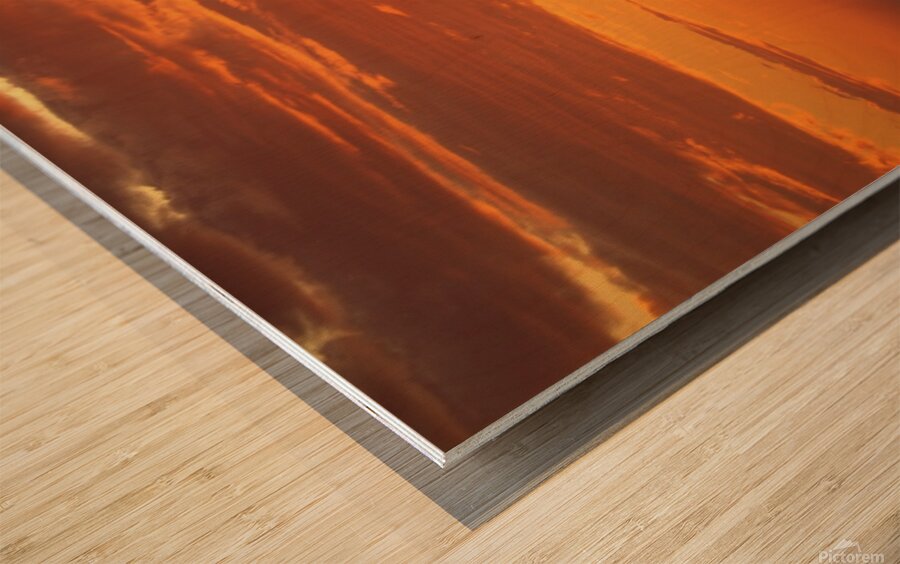 PC062802 Wood print