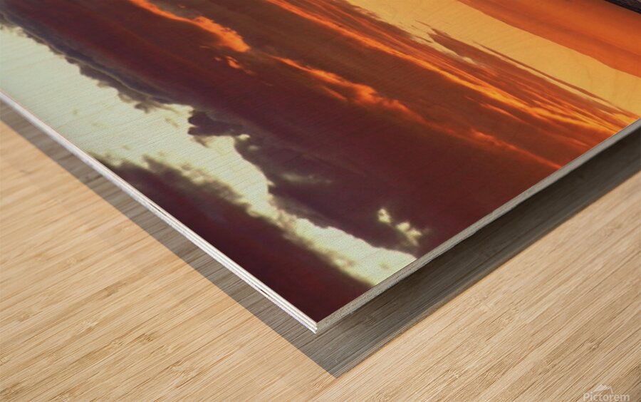 PC062804 Wood print
