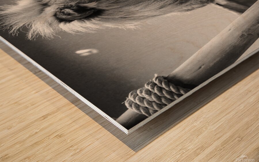 received 567707190739119 Wood print