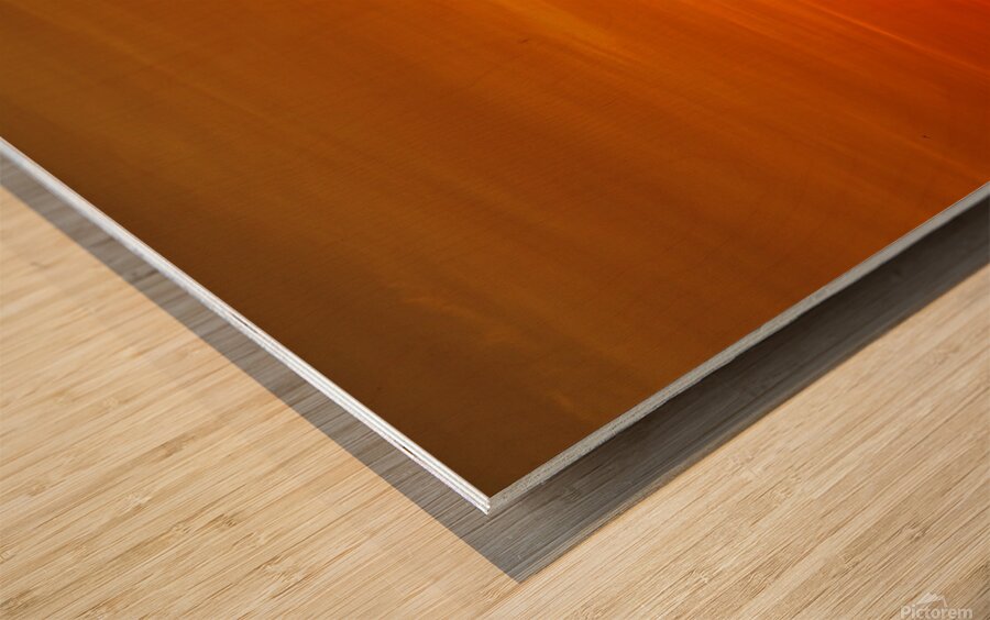 PC183594 Wood print