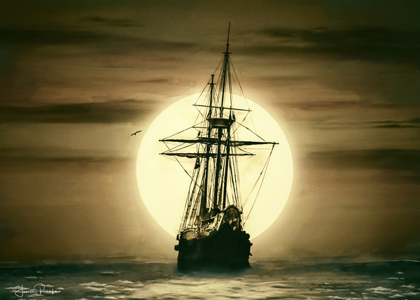 Moonlit Navigation Digital Download