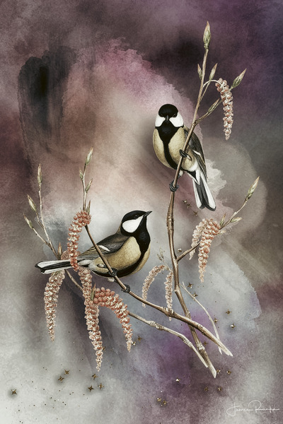 Passerine Digital Download