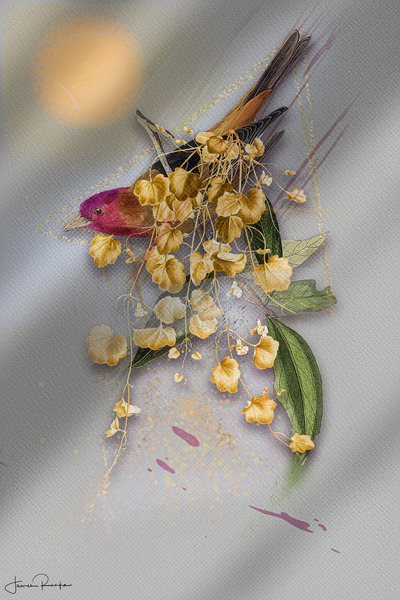 Songbird Digital Download