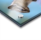 Baby chipmunk  Acrylic print