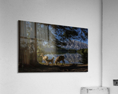 Lakeside  Acrylic Print
