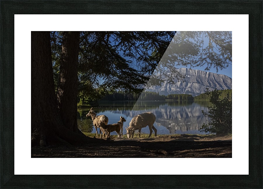 Lakeside  Picture Frame print