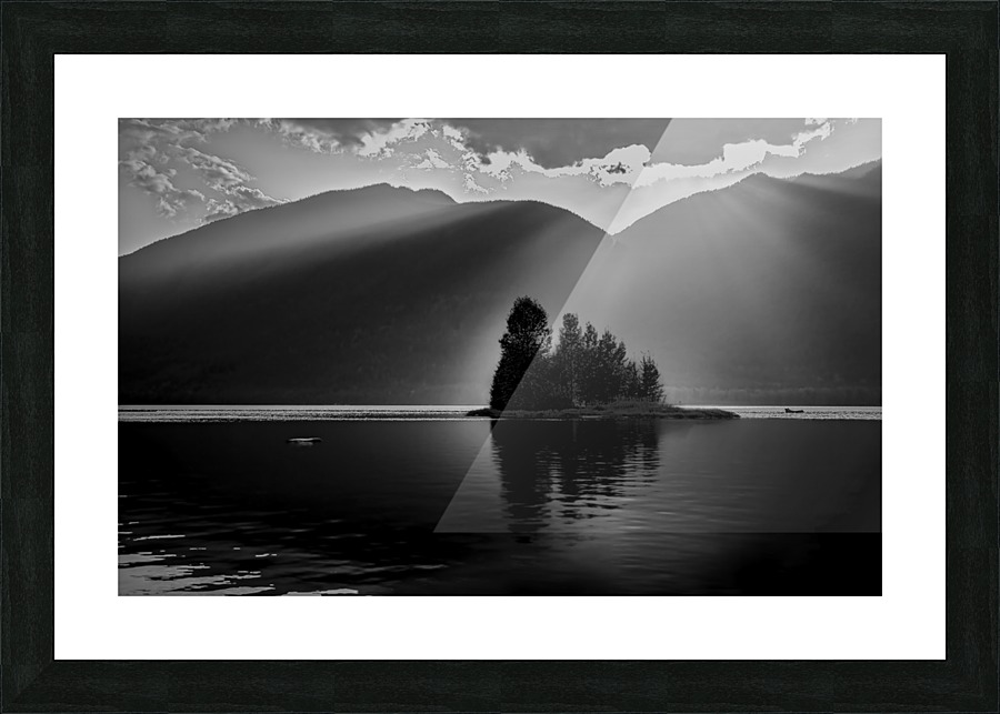 Light down upon Picture Frame print