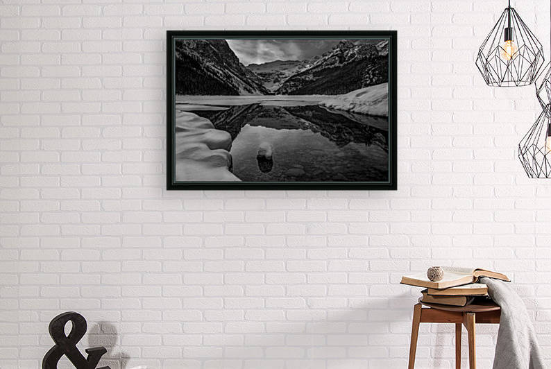 Lake Louse winter  Reproduction