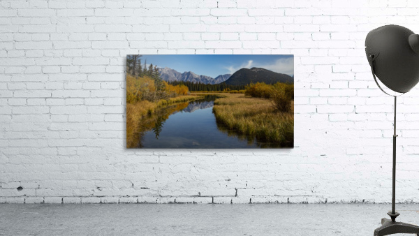 Golden river  Wall Preview