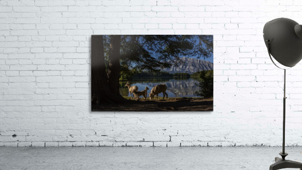 Lakeside  Wall Preview