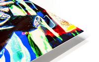 IMG 1746 HD Metal print