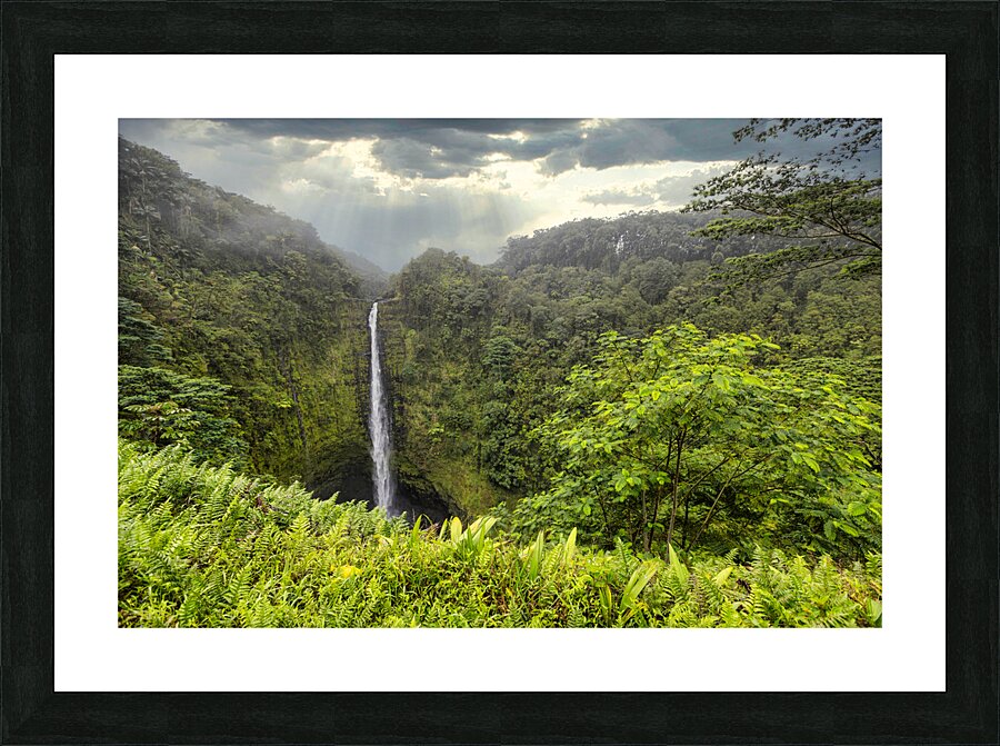 Akaka Magic. Picture Frame print