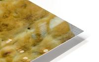 Chicken Haleem HD Metal print