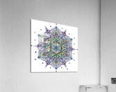 Universal Life Force Mandala Acrylic Print
