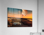 Thumbsdown Mini apolis Acrylic Print