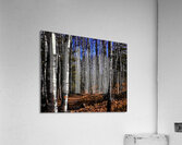Tettegouche Acrylic Print
